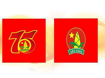 Cờ Đội Thanh Niên Tiền Phong -