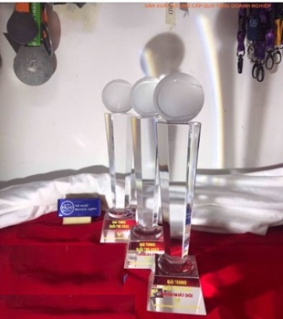 Kỷ niệm chương vinh danh -