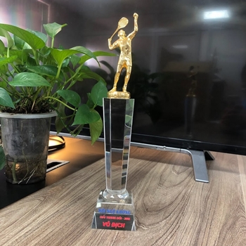 Kỷ niệm chương Cầu Long -