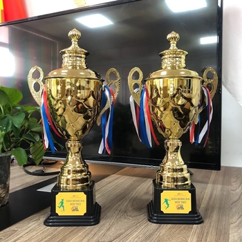 Cup vinh danh giải bóng đá FPT -