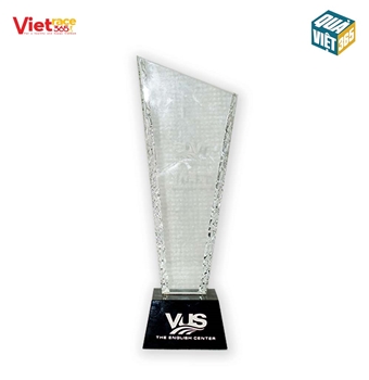 Kỷ niệm chương VUS -