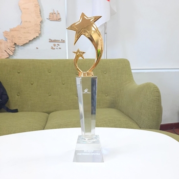 KỶ NIỆM CHƯƠNG - NGÔI SAO KIM LOẠI -