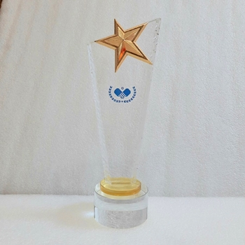 Kỷ niệm chương bóng bàn -