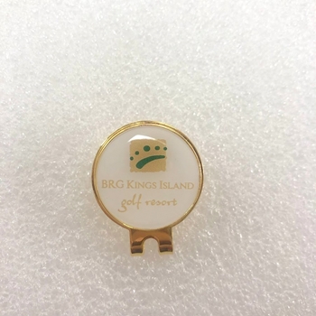 Huy hiệu cài áo BRG -