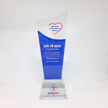 Kỷ niệm chương EVN -