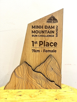 Kỷ niệm chương gỗ Minh Đạm -