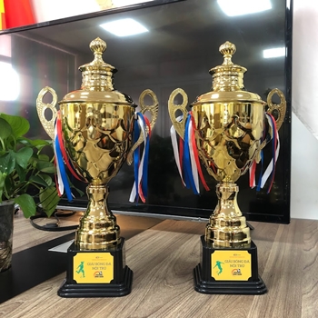 CUP KIM LOẠI BÓNG ĐÁ -