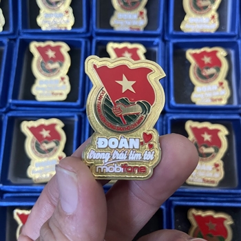 HUY HIỆU ĂN MÒN ĐI MÀU - ĐOÀN -