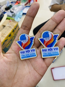 HUY HIỆU ĐẠI HỘI BÌNH DƯƠNG -