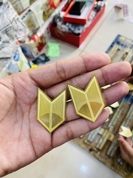 HUY HIỆU ĐỒNG ĂN MÒN  đẹp -