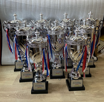 CUP KIM LOẠI MẪU BẠC -