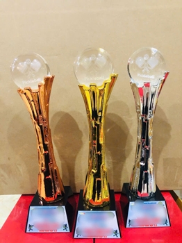 CUP KIM LOẠI PICKLEBALL -