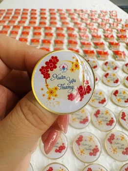 HUY HIỆU XUÂN 2025 -