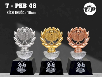 KỶ NIỆM CHƯƠNG TENNIS 01 -
