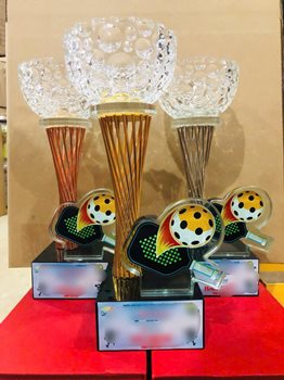 CUP KIM LOẠI kết hợp PHA LÊ PICKLEBALL -