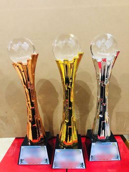 CUP KIM LOẠI PICKLEBALL -