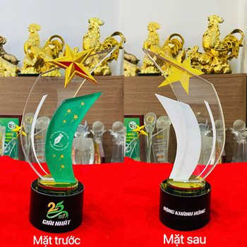 KỶ NIỆM CHƯƠNG NGÔI SAO 09 -