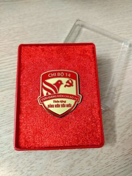 HUY HIỆU ĂN MÒN ĐI MÀU CHI BỘ 14 -