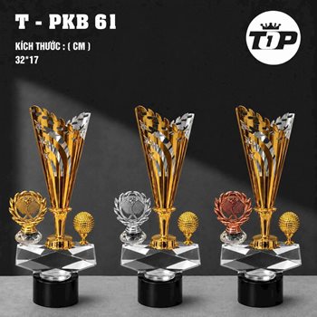 KỶ NIỆM CHƯƠNG TENNIS 06 -