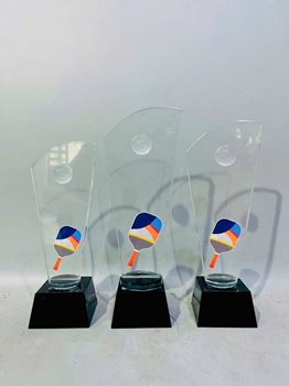 KỶ NIỆM CHƯƠNG PICKLEBALL 05 -