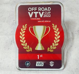 4 điều quan trọng khi đặt làm quà tặng kỷ niệm chương